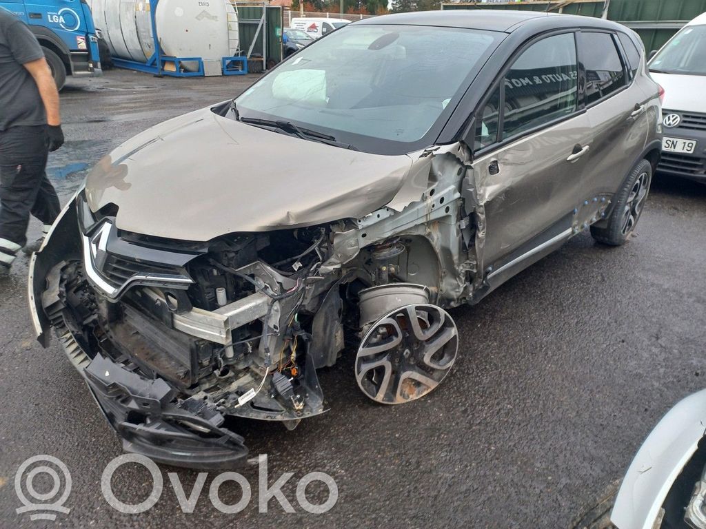 Captur Captur  233004868R