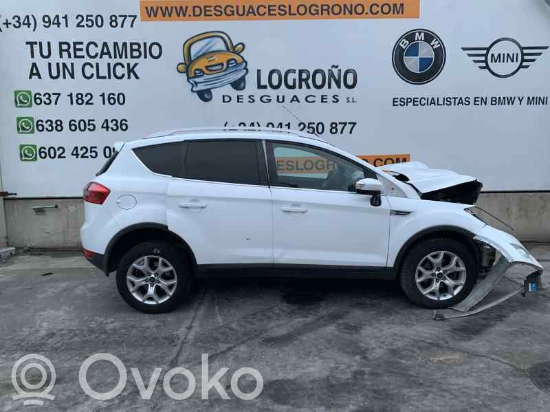 Kuga I Kuga  1530606