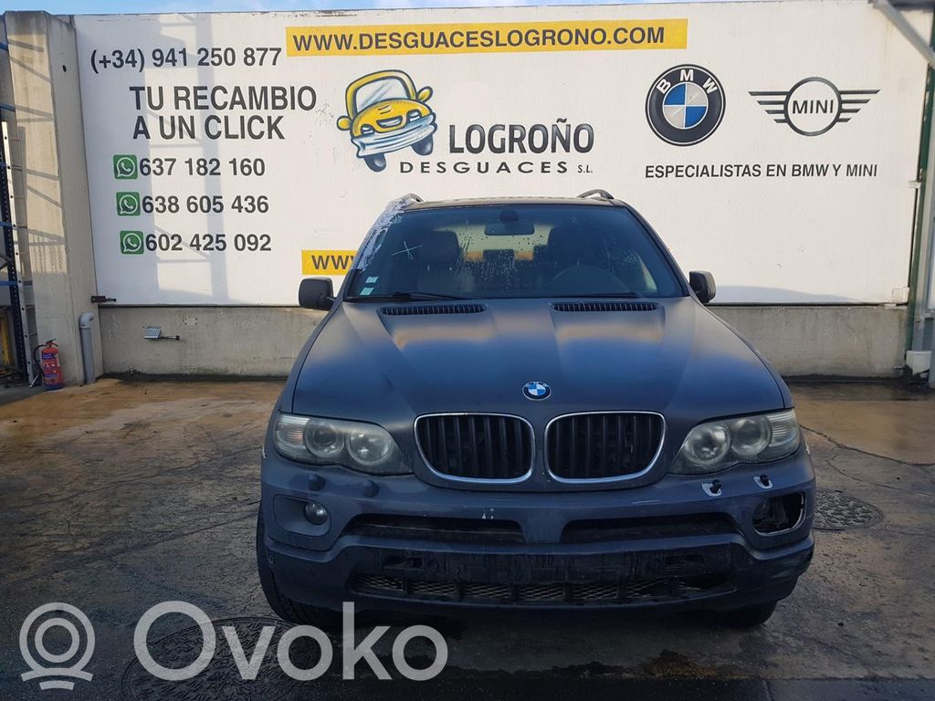 X5 E53 X5  61316930244