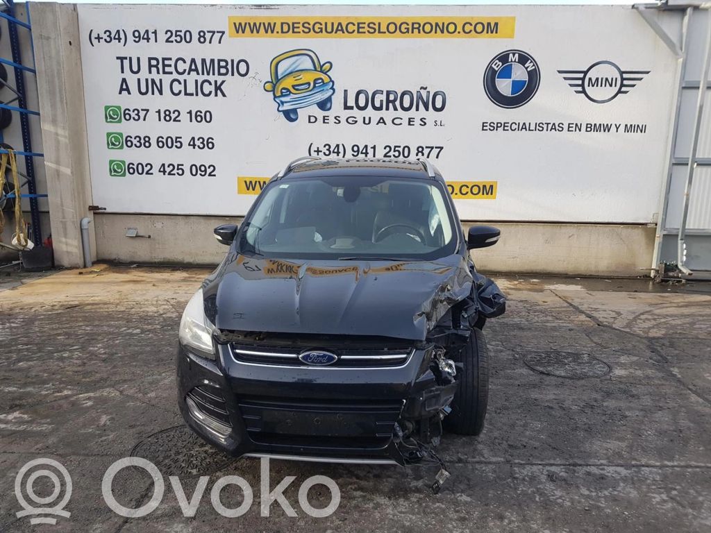 Kuga II Kuga  1752127