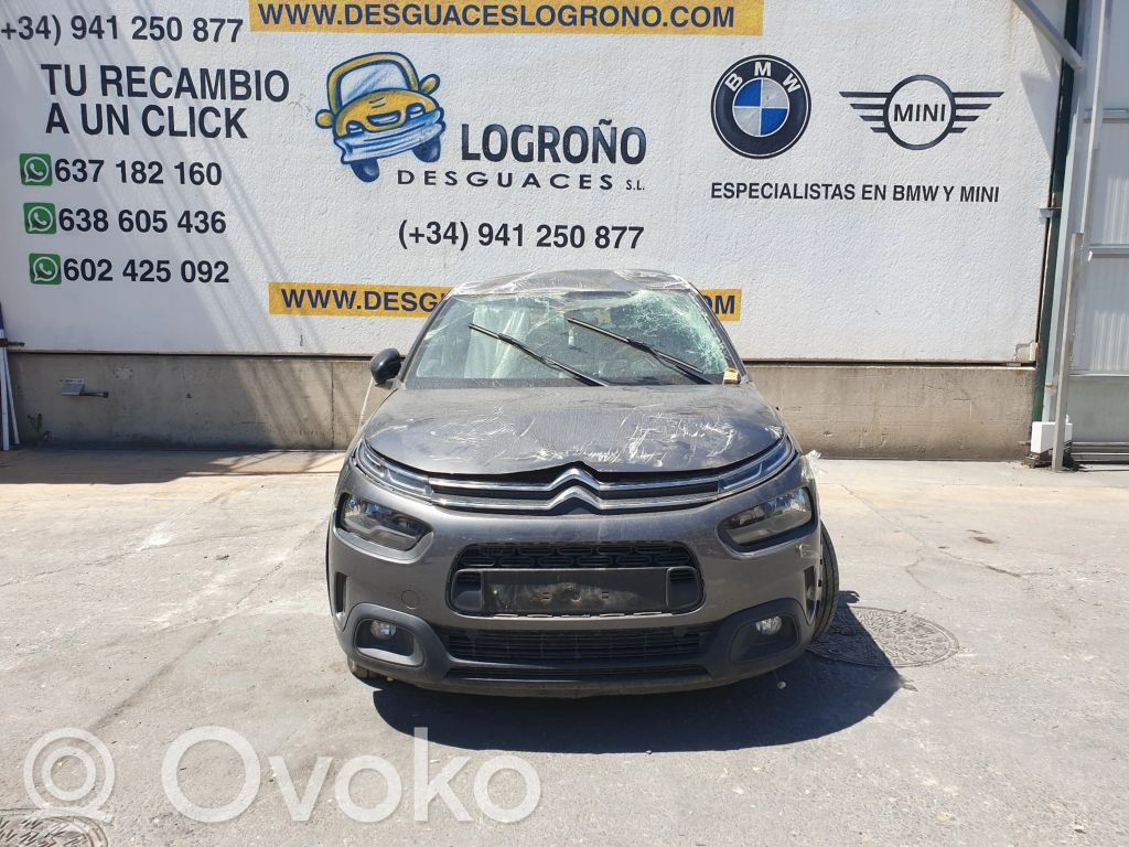 C4 Cactus C4 Picasso, Grand Picasso, Aircross, Cactus  9813348377XT