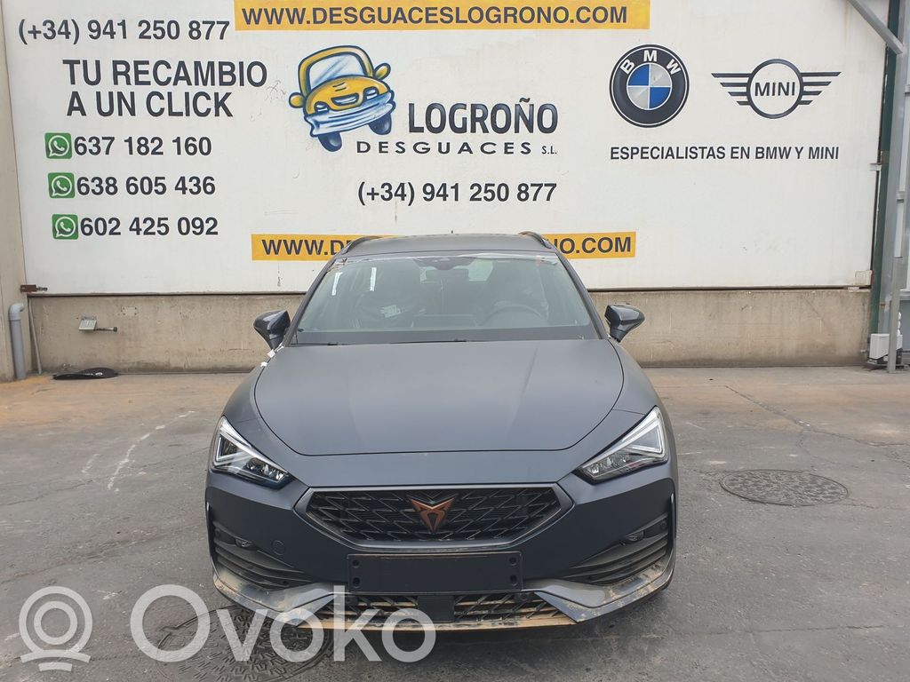 Leon Leon  5FA853372C