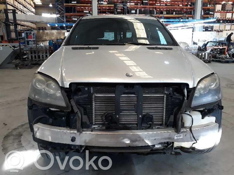 ML W164 ML-class, AMG (W163, W164, W166)  A1715420123