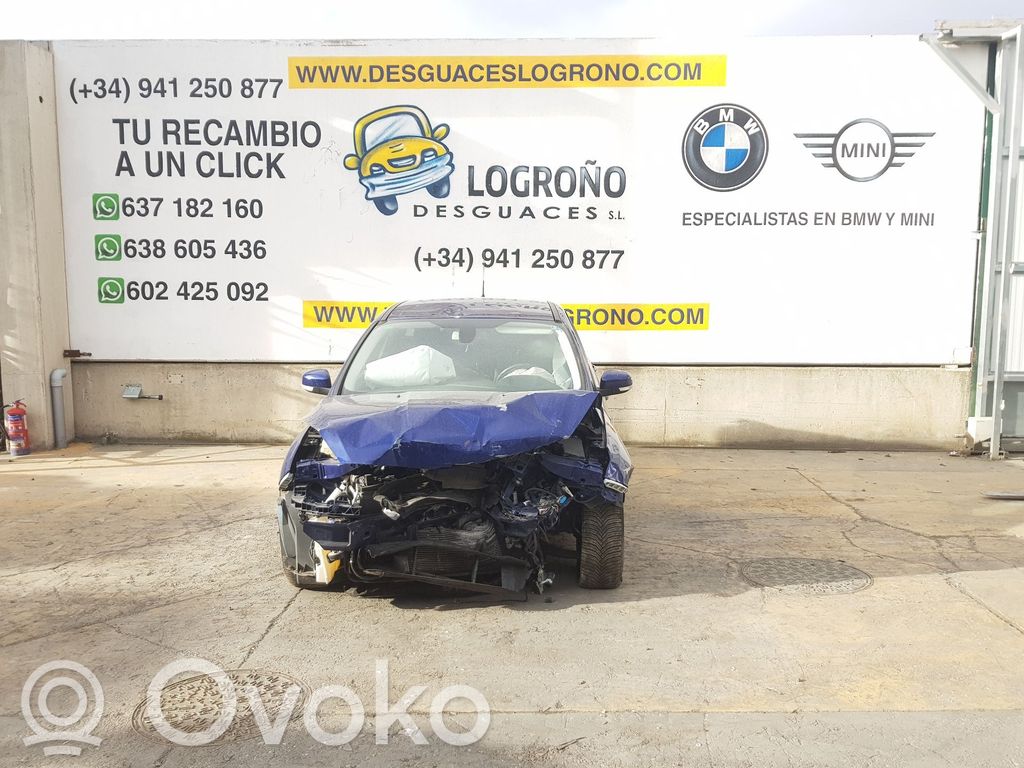 Focus Focus  1880916