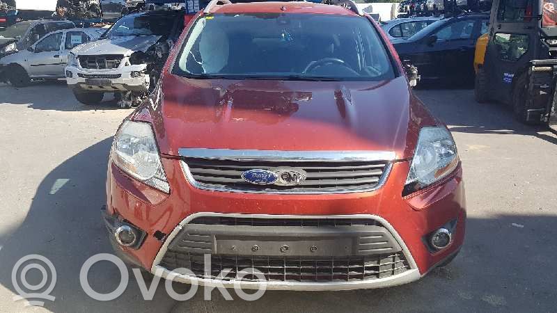 Kuga I Kuga  1599321