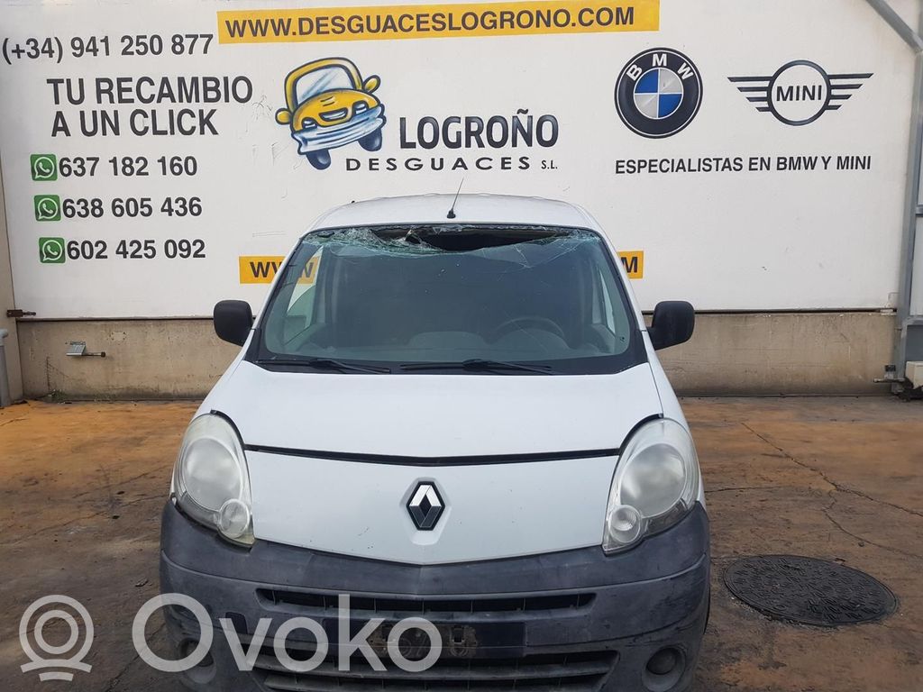 Kangoo II Kangoo  252105246R