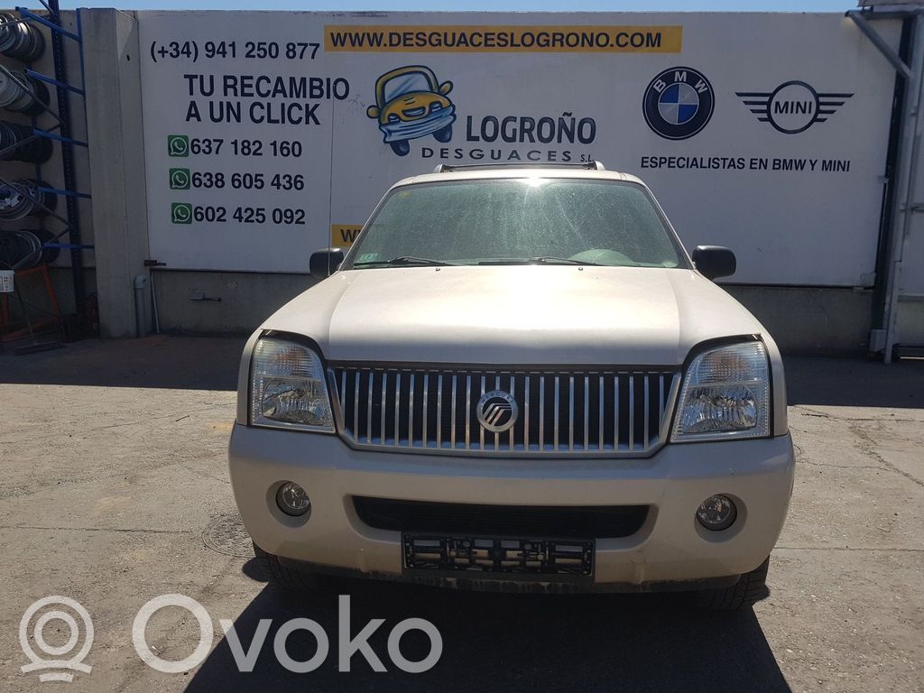 Mountaineer Mountaineer  3L2Z7820124