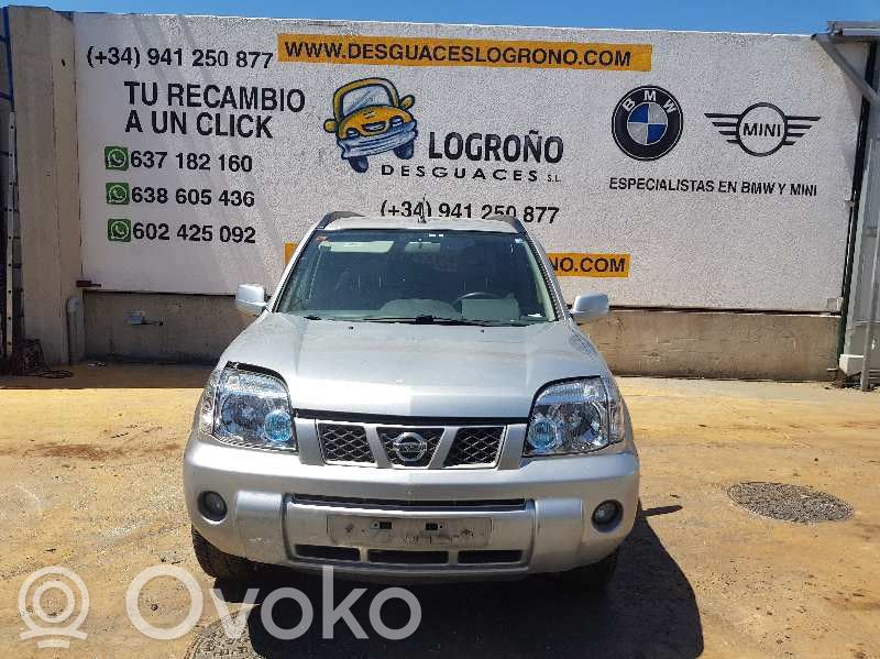 X-Trail T30 X-Trail  41650EQ070