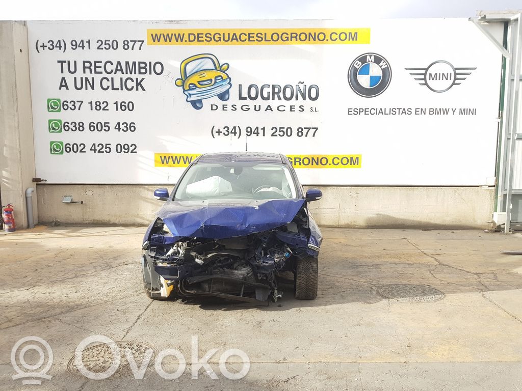 Focus Focus  5314904