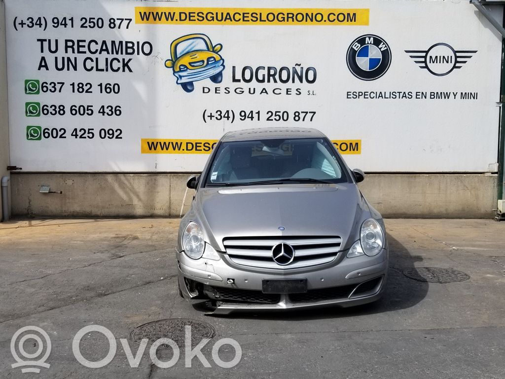 R W251 R-class, AMG (W251)  A1648200185