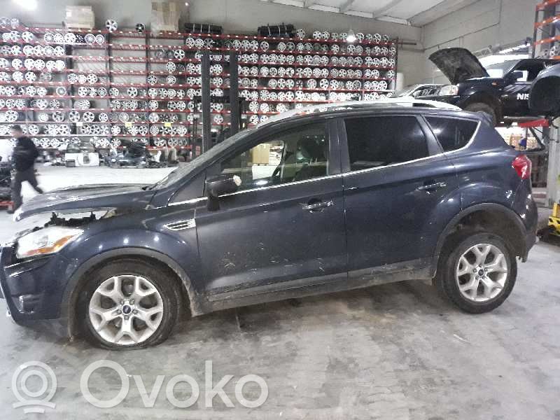 Kuga I Kuga  1313818