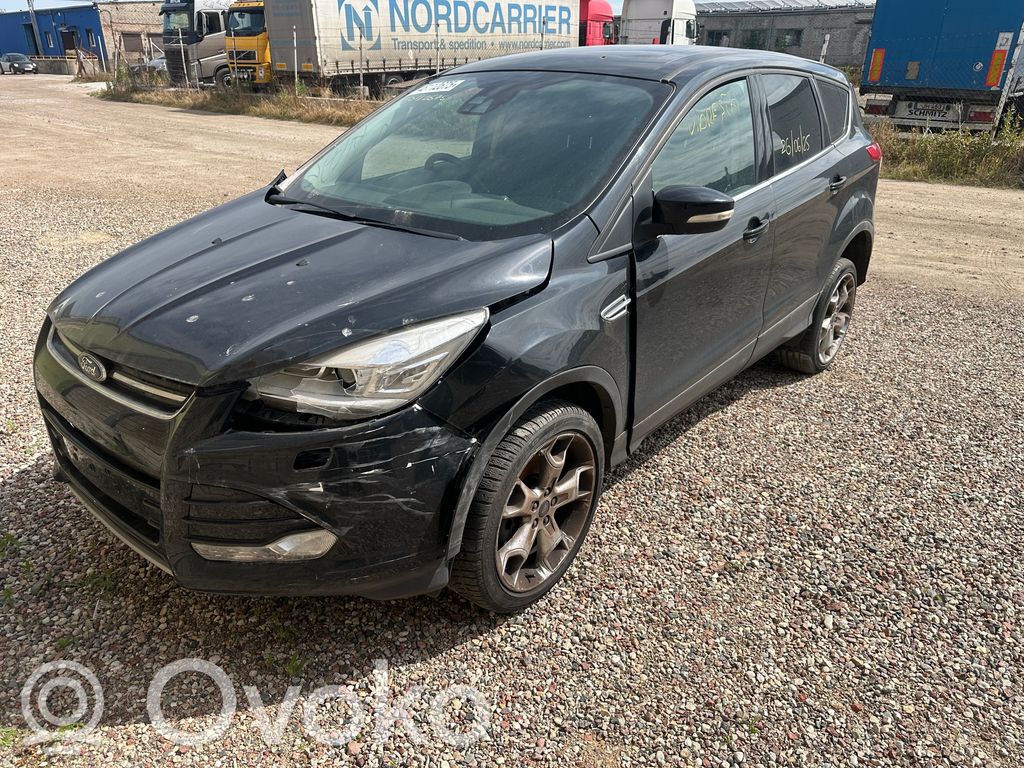 Kuga II Kuga