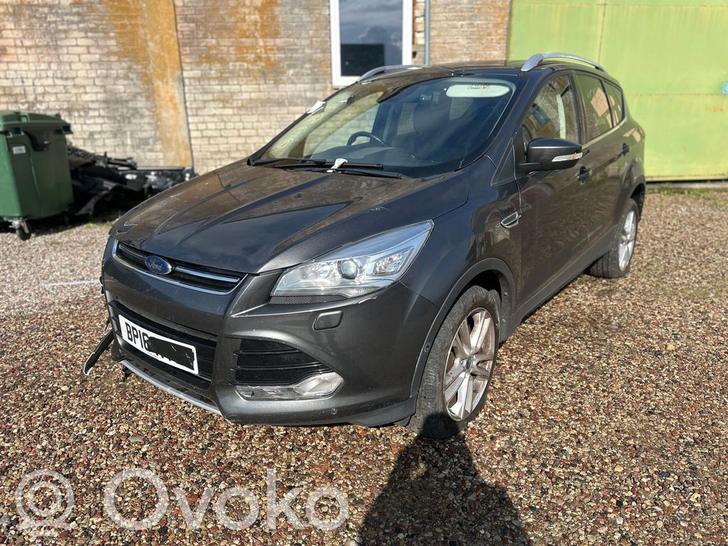 Kuga II Kuga