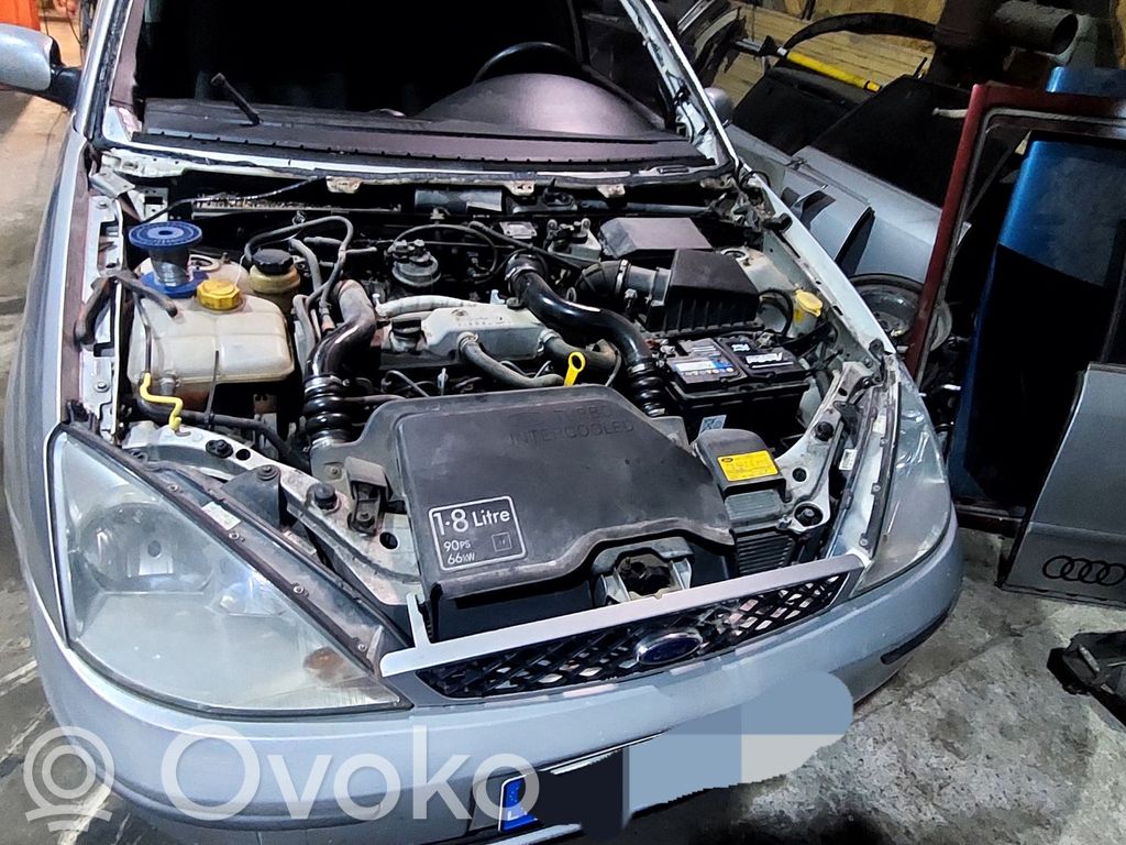 Focus Focus  8805F04