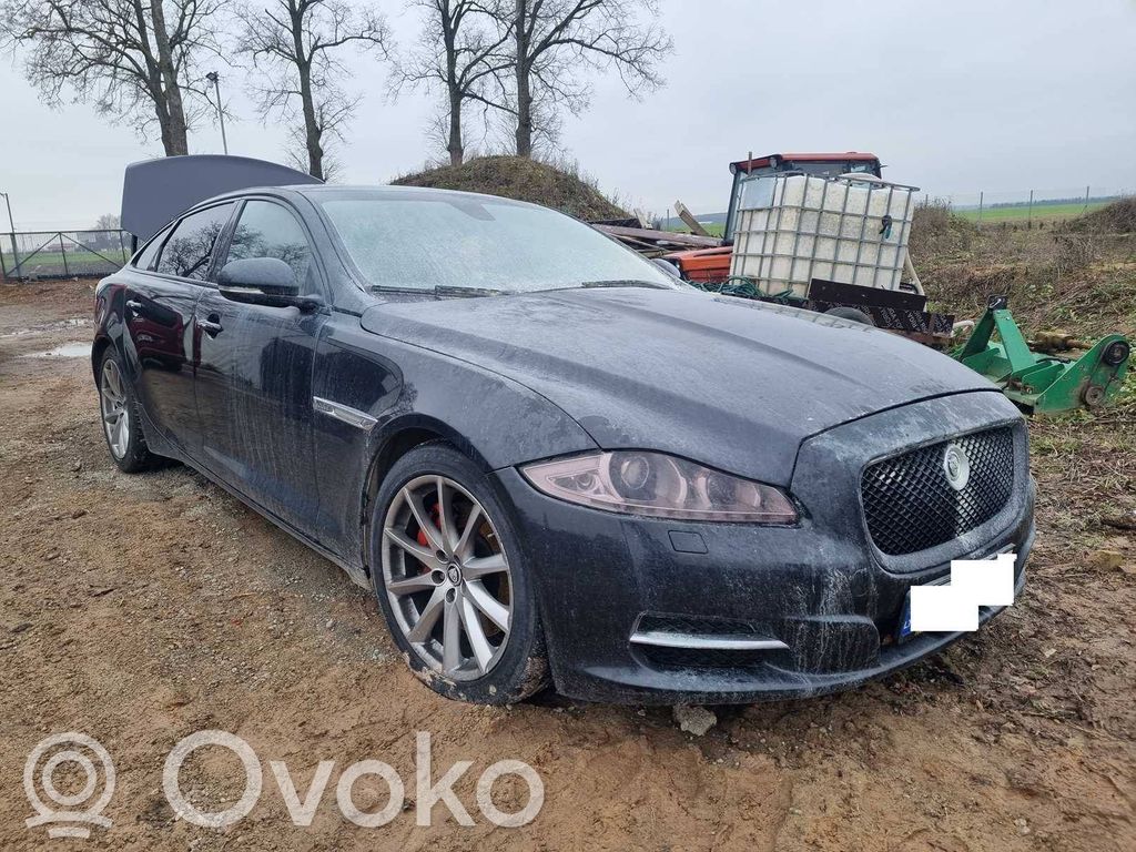 XJL XJL  MB2797009310
