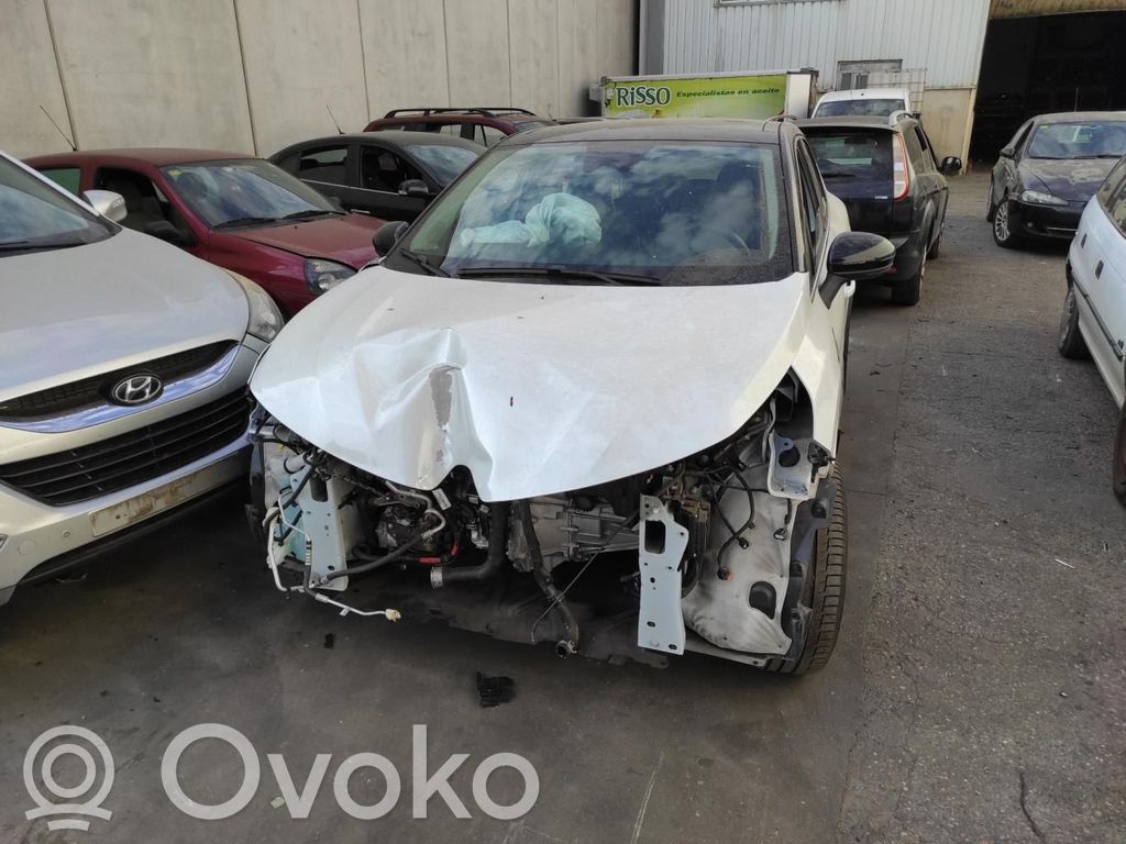 Captur Captur  SLV2310A1749R