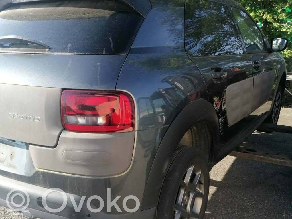 C4 Cactus C4 Picasso, Grand Picasso, Aircross, Cactus  9814182680