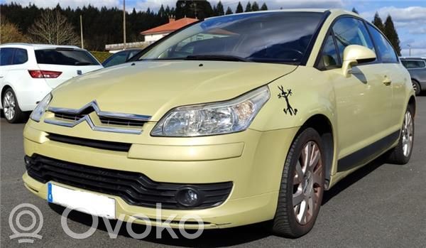 C4 I C4 Picasso, Grand Picasso, Aircross, Cactus  9647173880F03
