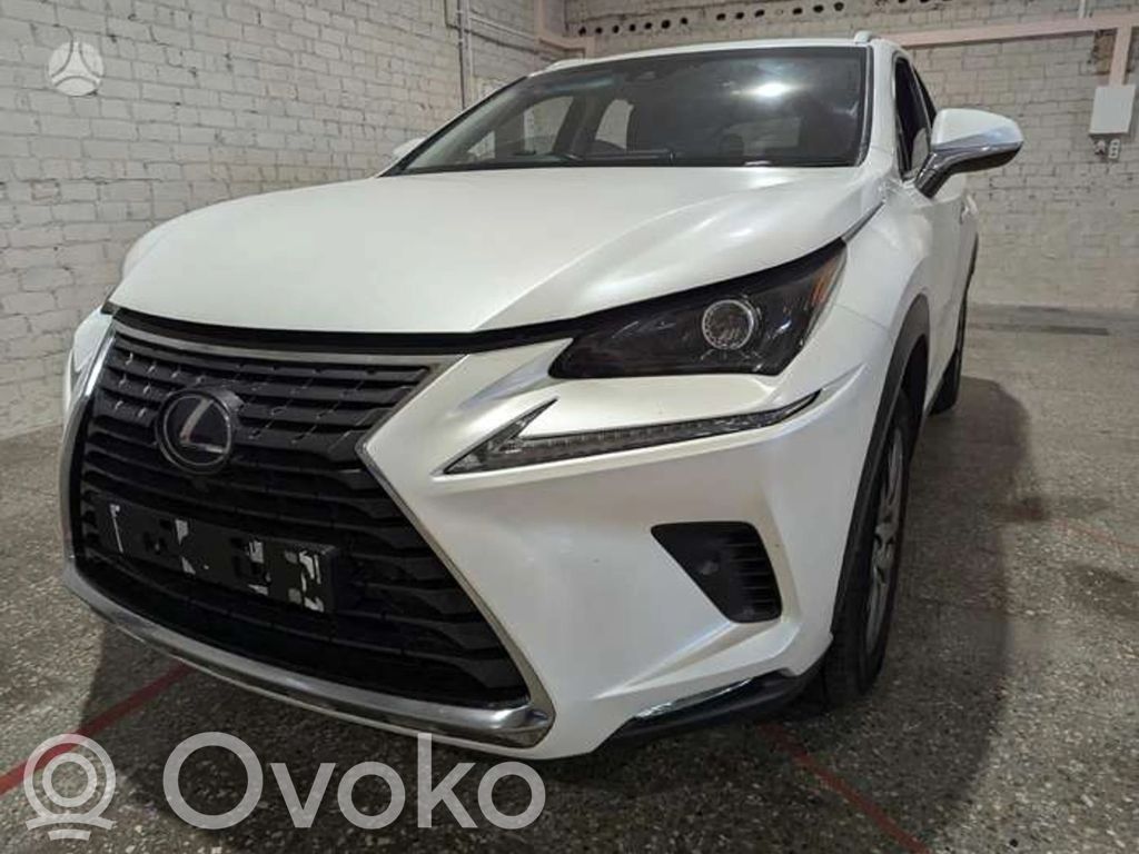 NX NX  33608