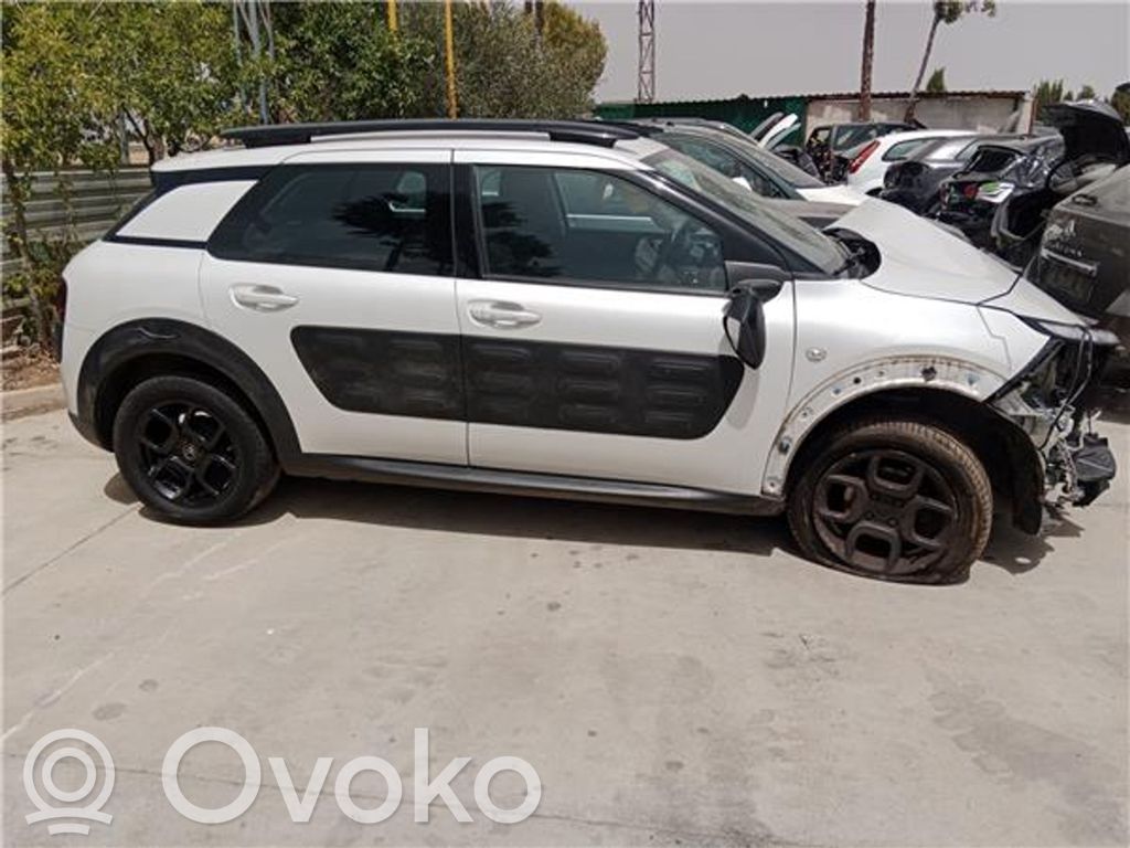 C4 Cactus C4 Picasso, Grand Picasso, Aircross, Cactus  BH02