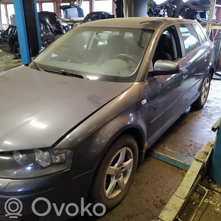 A3 S3 A3 Sportback 8P A3, S3  06A906033DS