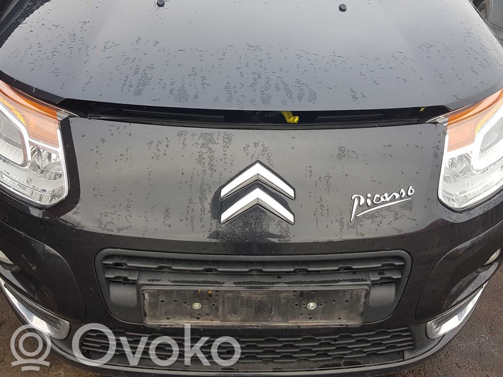 C3 Picasso C3, Pluriel, Picasso