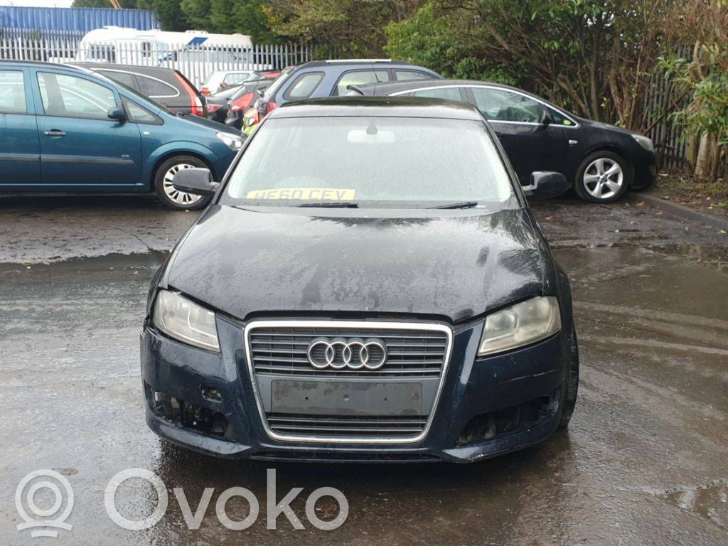 A3 S3 A3 Sportback 8P A3, S3  CFGB