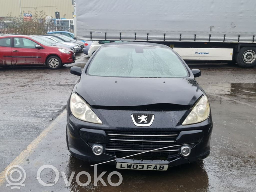307 CC 307  10562130111