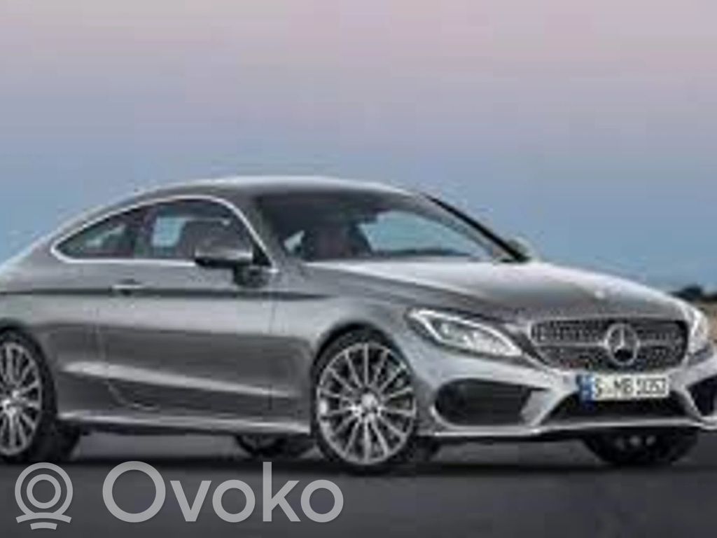 C W205 C-class, AMG (W202, W203, W204, W205, W206)  A2056190025