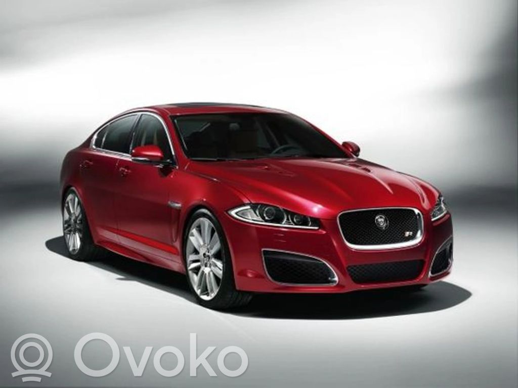 XF XF  50645928AA