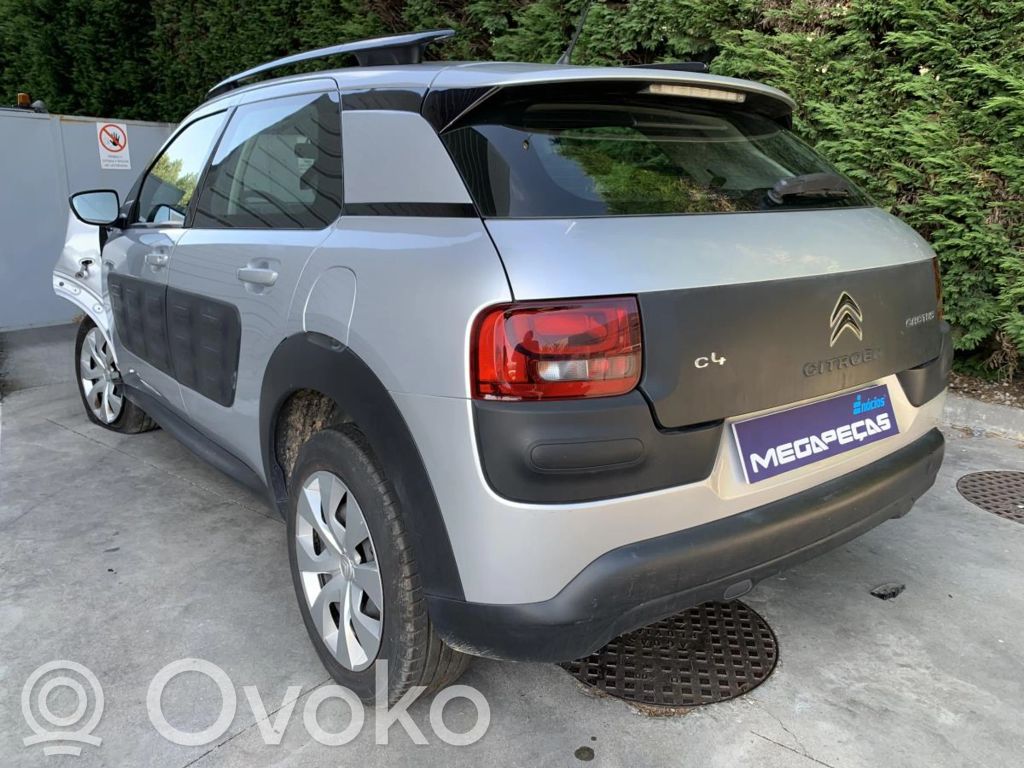 C4 Cactus C4 Picasso, Grand Picasso, Aircross, Cactus
