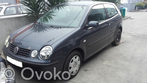 Polo IV 9N3 Polo