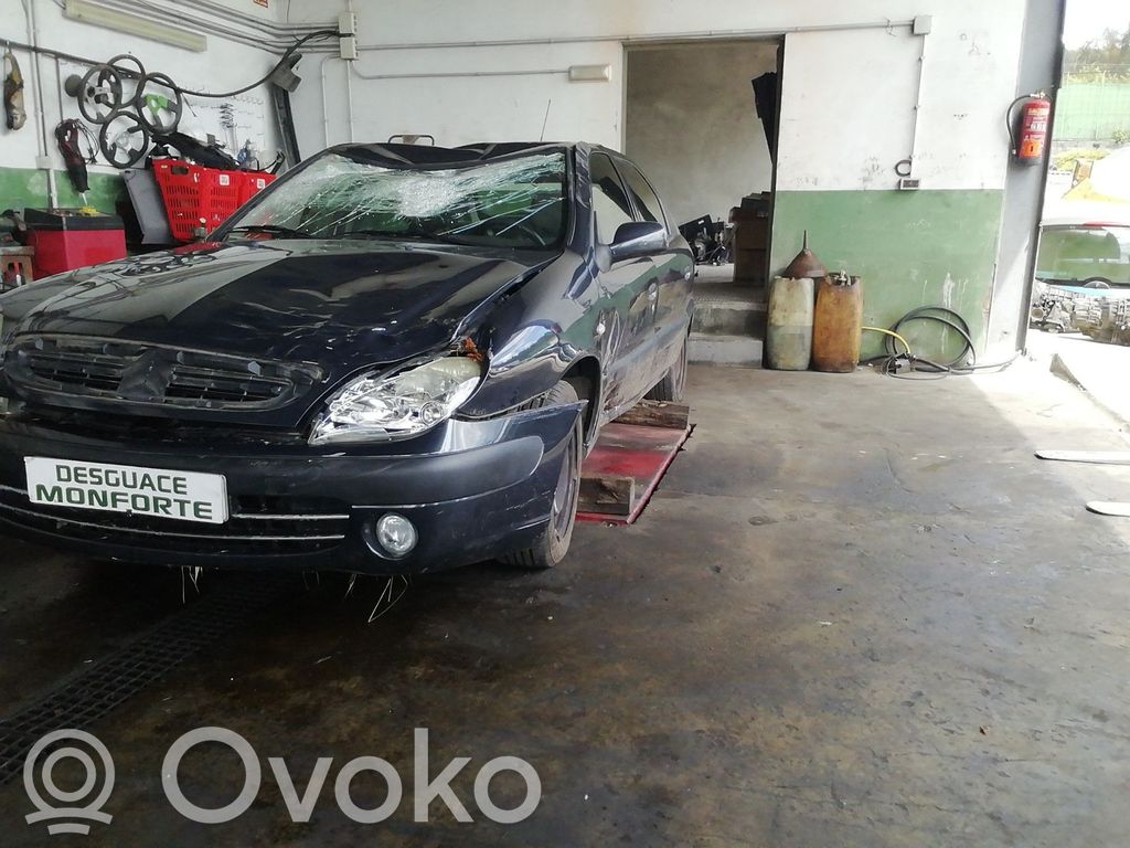 Xsara Xsara, Xsara Picasso