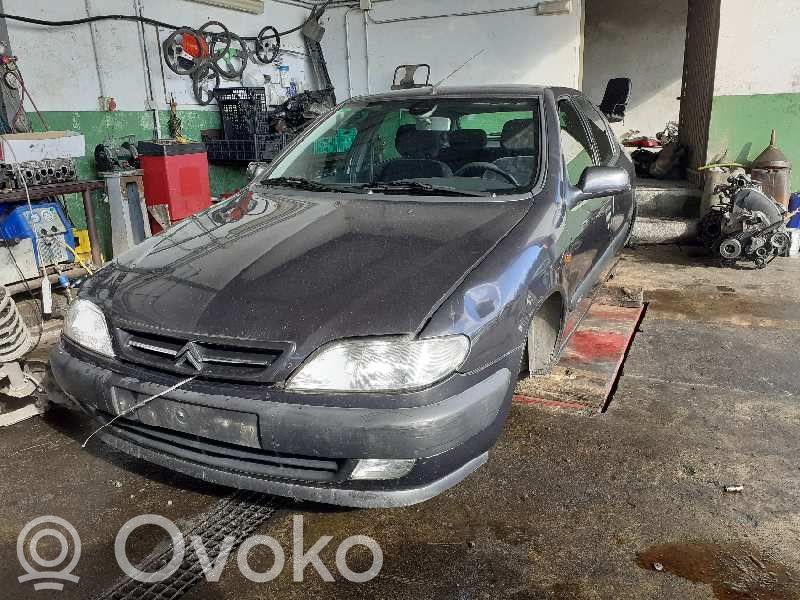 Xsara Xsara, Xsara Picasso