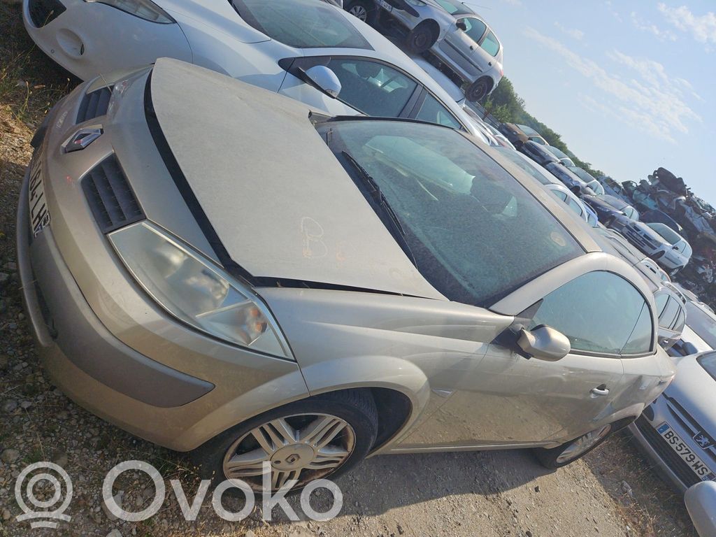 Megane II Megane  8200290215