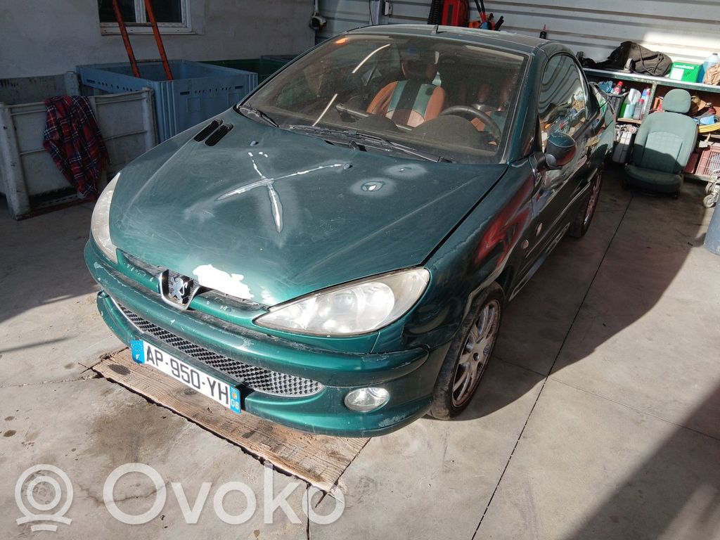 206 CC 206, 206+  8974HE