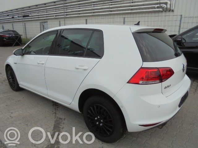 Golf VII Golf  500615405