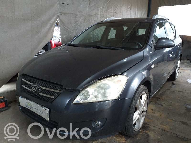 Pro Cee'd I Ceed, Ceed SW, Pro Ceed  495001H310