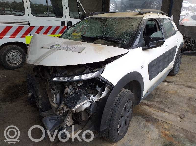 C4 Cactus C4 Picasso, Grand Picasso, Aircross, Cactus  9810313280