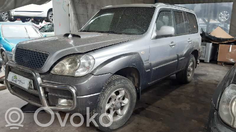 Terracan Terracan  282004A210