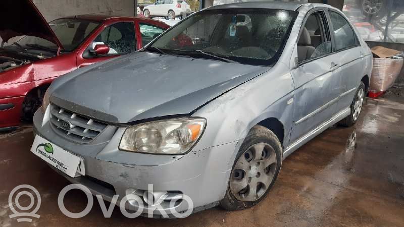 Cerato Cerato  852022F050NM