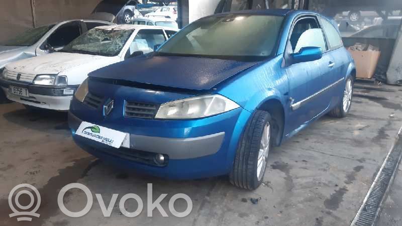 Megane II Megane  8200282879