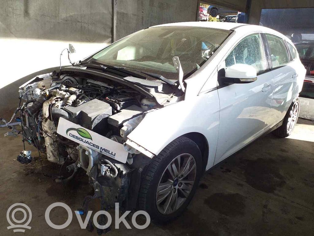 Focus Focus  BV612B195AF
