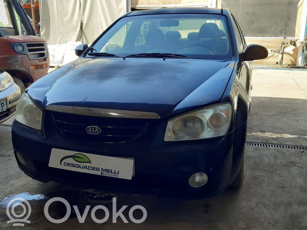 Cerato Cerato  976062F000