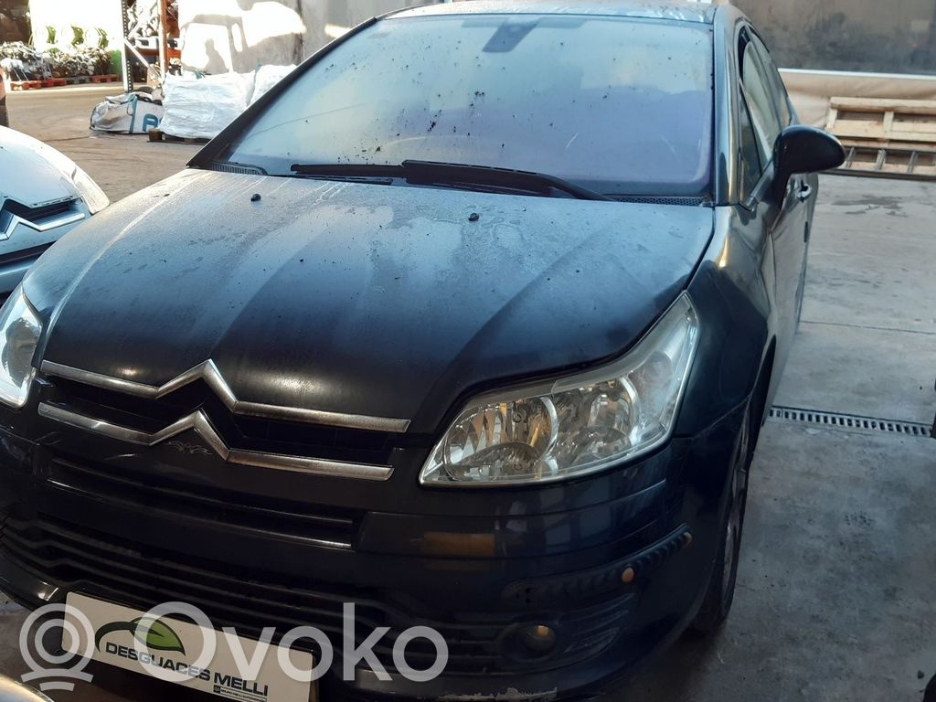 C4 I C4 Picasso, Grand Picasso, Aircross, Cactus  96471578ZD