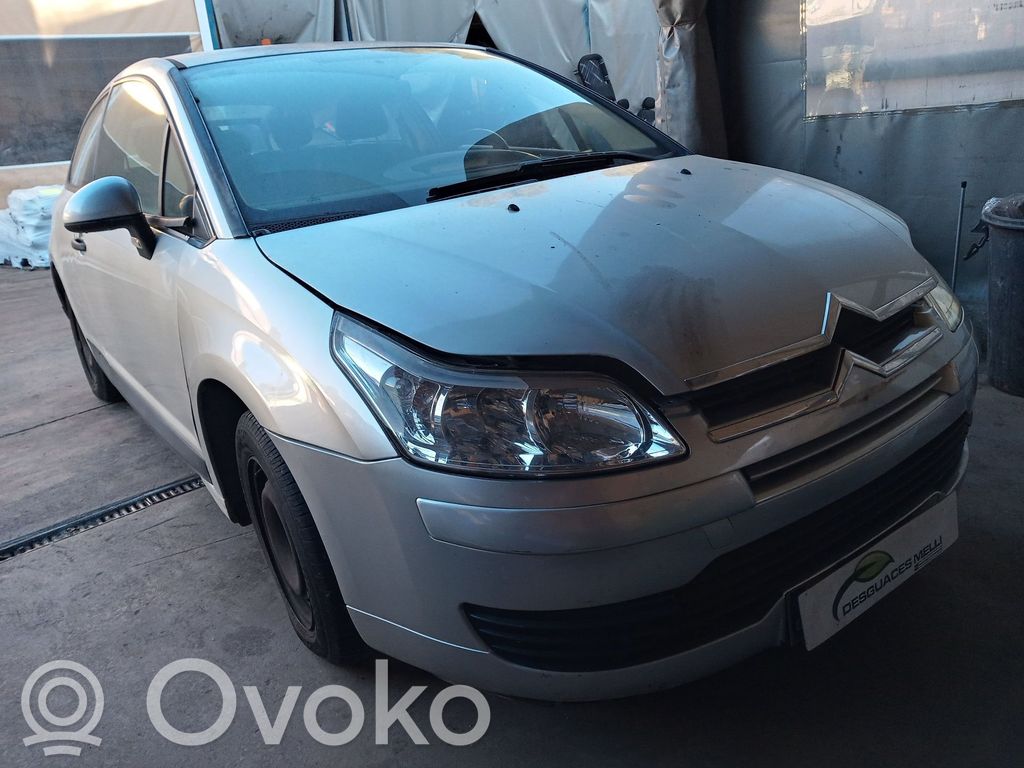 C4 I C4 Picasso, Grand Picasso, Aircross, Cactus  9813973280