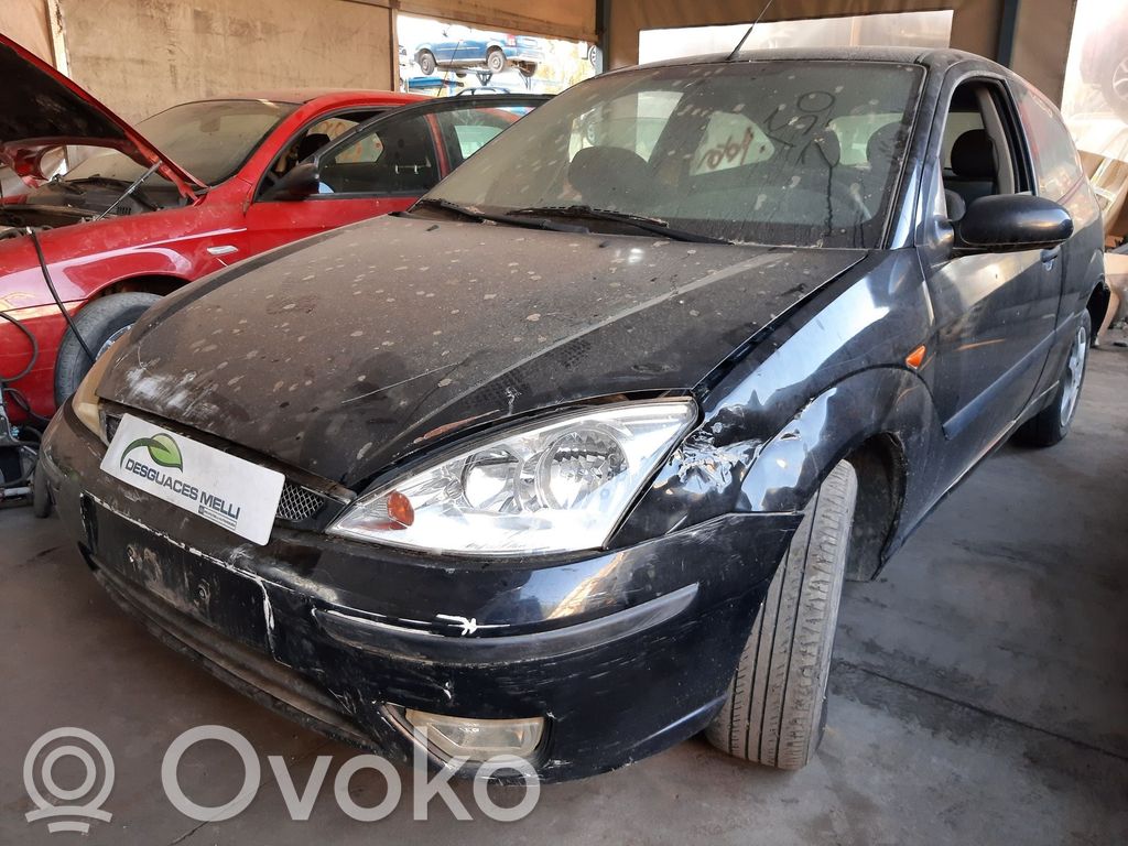 Focus Focus  1091364