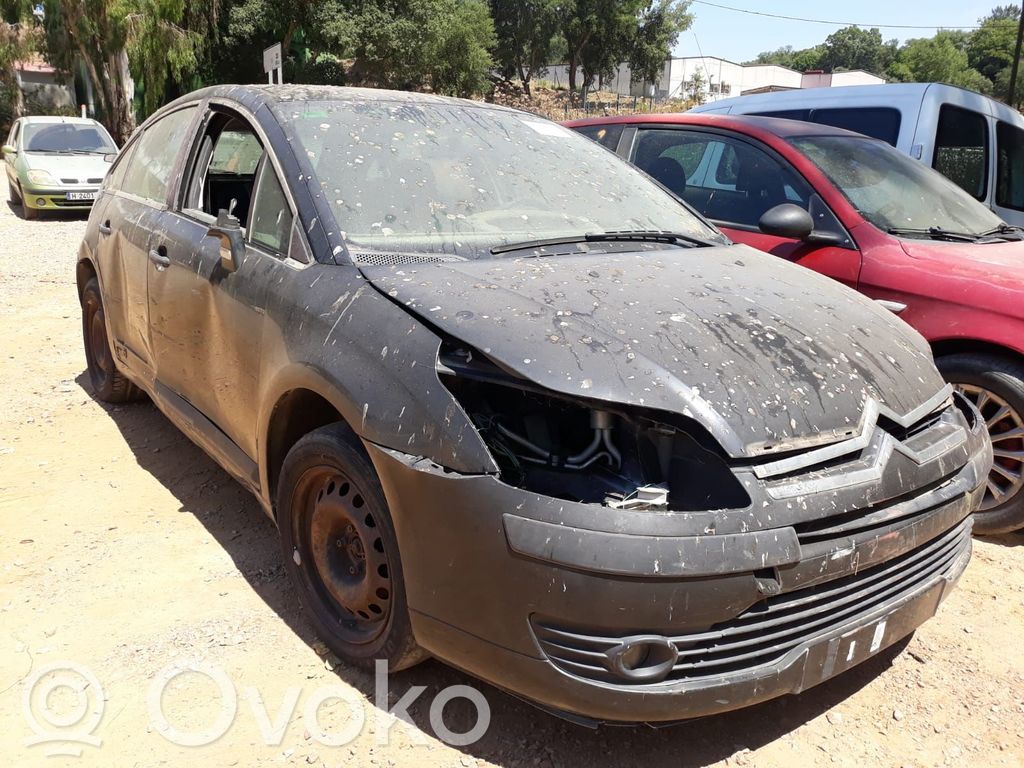 C4 I C4 Picasso, Grand Picasso, Aircross, Cactus  0384H5