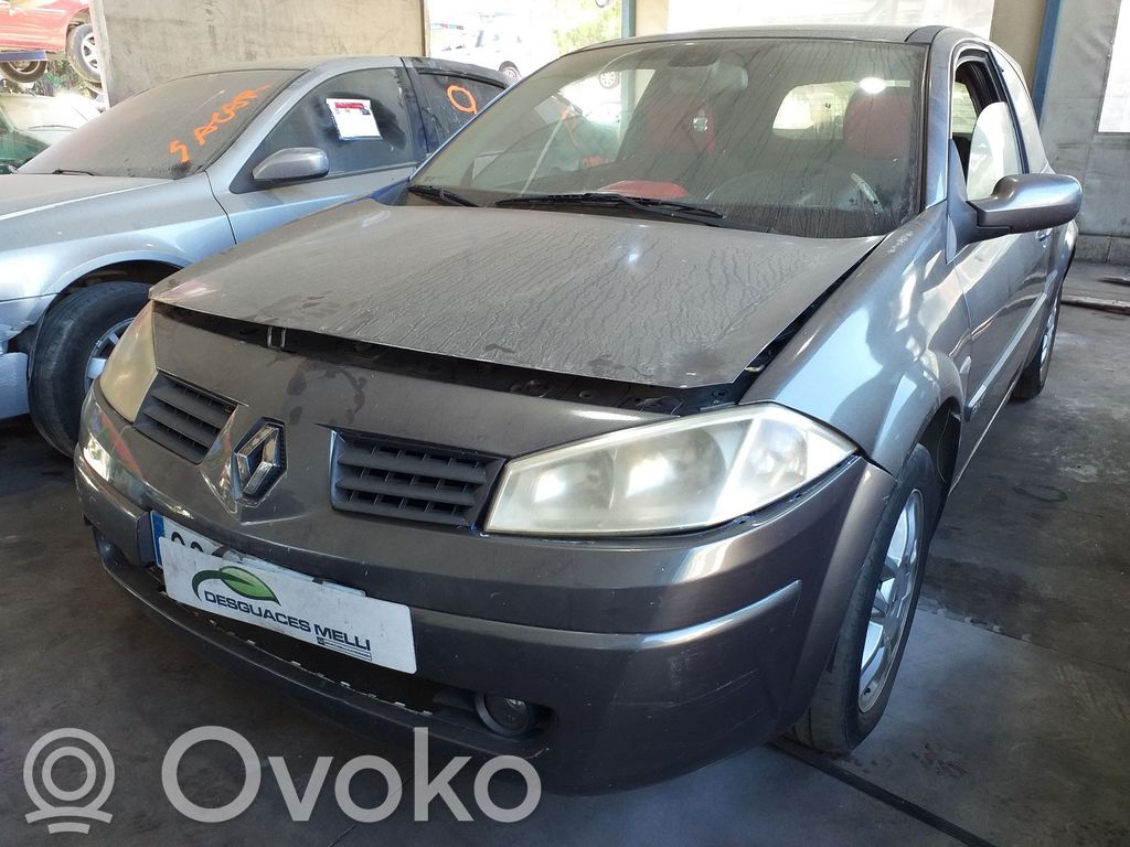 Megane II Megane  8200115543
