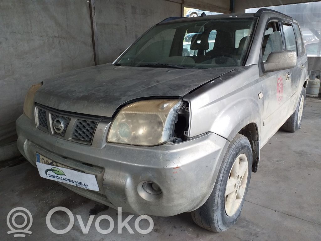 X-Trail T30 X-Trail  255408H701